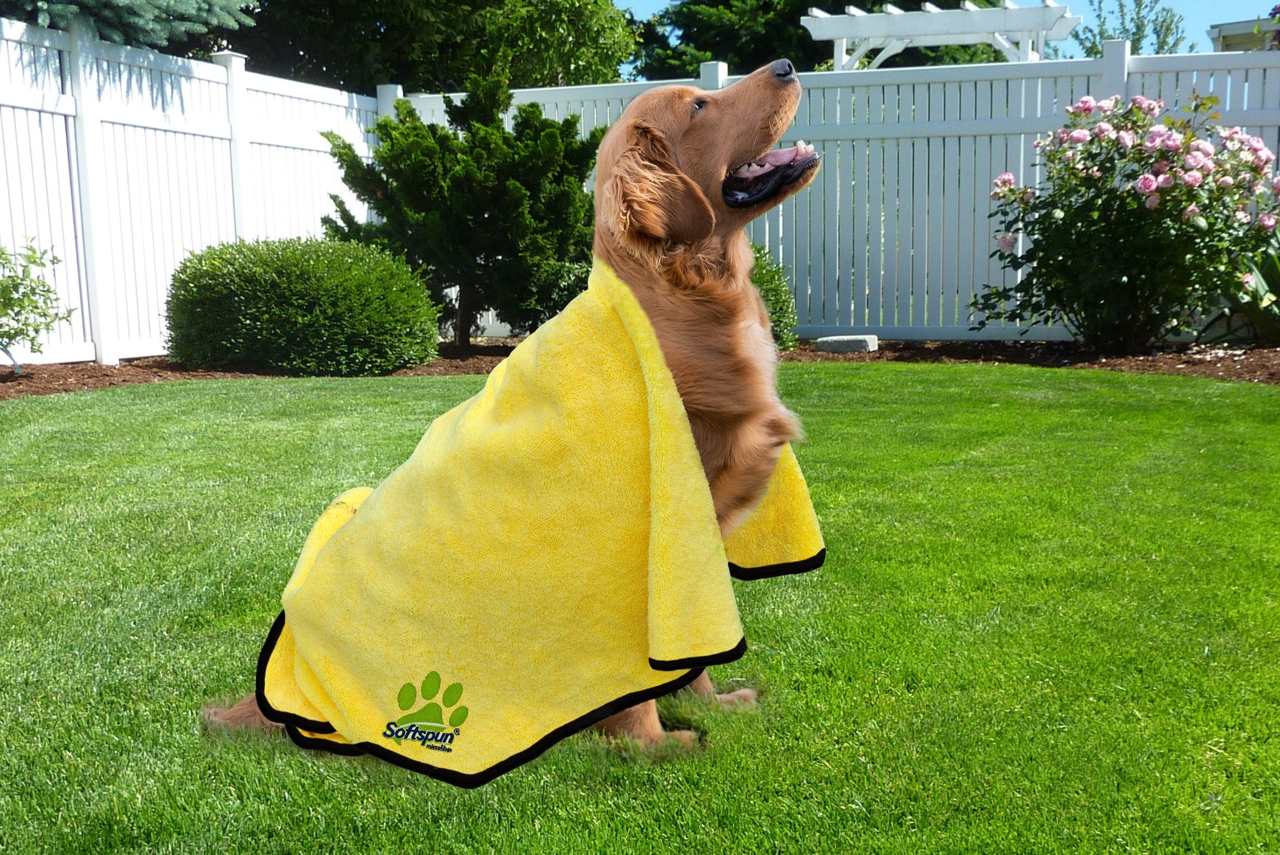 SOFTSPUN Microfiber Pet Towel 380 GSM. Ultra-Absorbent for Drying Pets Quickly. Quick-Drying, Machine Washable, Ultra-Soft for Small Dogs & Cats of All Breeds.